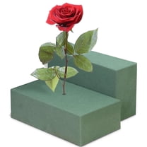 QZS 2Pcs Florist Flower Foam Material Green Bricks,9"X4"X3" Larger Size Floral Foam Blocks,Wet & Dry Plant Foam for Flower Arrangements,for Wedding Birthday Holiday Home Decor Displays