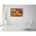 thumbnail image 5 of Epic Art 'Tulip Portrait I' by Tim O'Toole, Acrylic Glass Wall Art, 36"x24", 5 of 5
