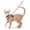 pink, variant on Cat and small dog harness traction rope for walking, anti escape soft adjustable vest harness, easy to control breathable jacket