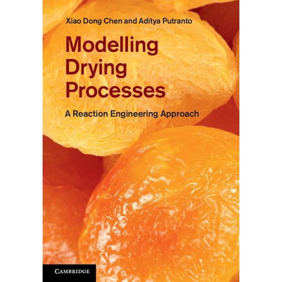 Modeling Drying Processes, (Hardcover)