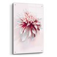 thumbnail image 2 of Epic Art 'Water Dahlia' by Incado, Acrylic Glass Wall Art, 24"x36", 2 of 8