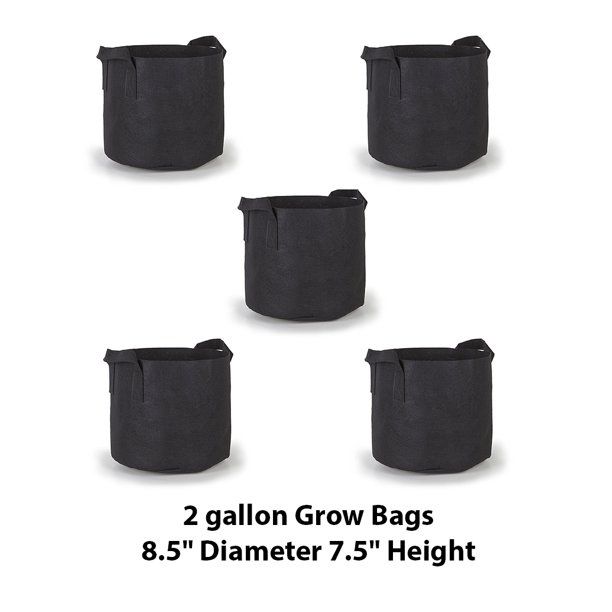 2 Gallon with Handles, 5 Pack, Outdoor Black Container