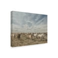 thumbnail image 2 of Trademark Fine Art 'Big Sky' Canvas Art by PHBurchett, 2 of 4