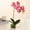 C, variant on ZFSBZBS 13in Artificial Orchid Flower in Pot, Silk Orchid Arrangement with Glass Vase,Silk Phalaenopsis Indoor Decor for Home Table Centerpiece D