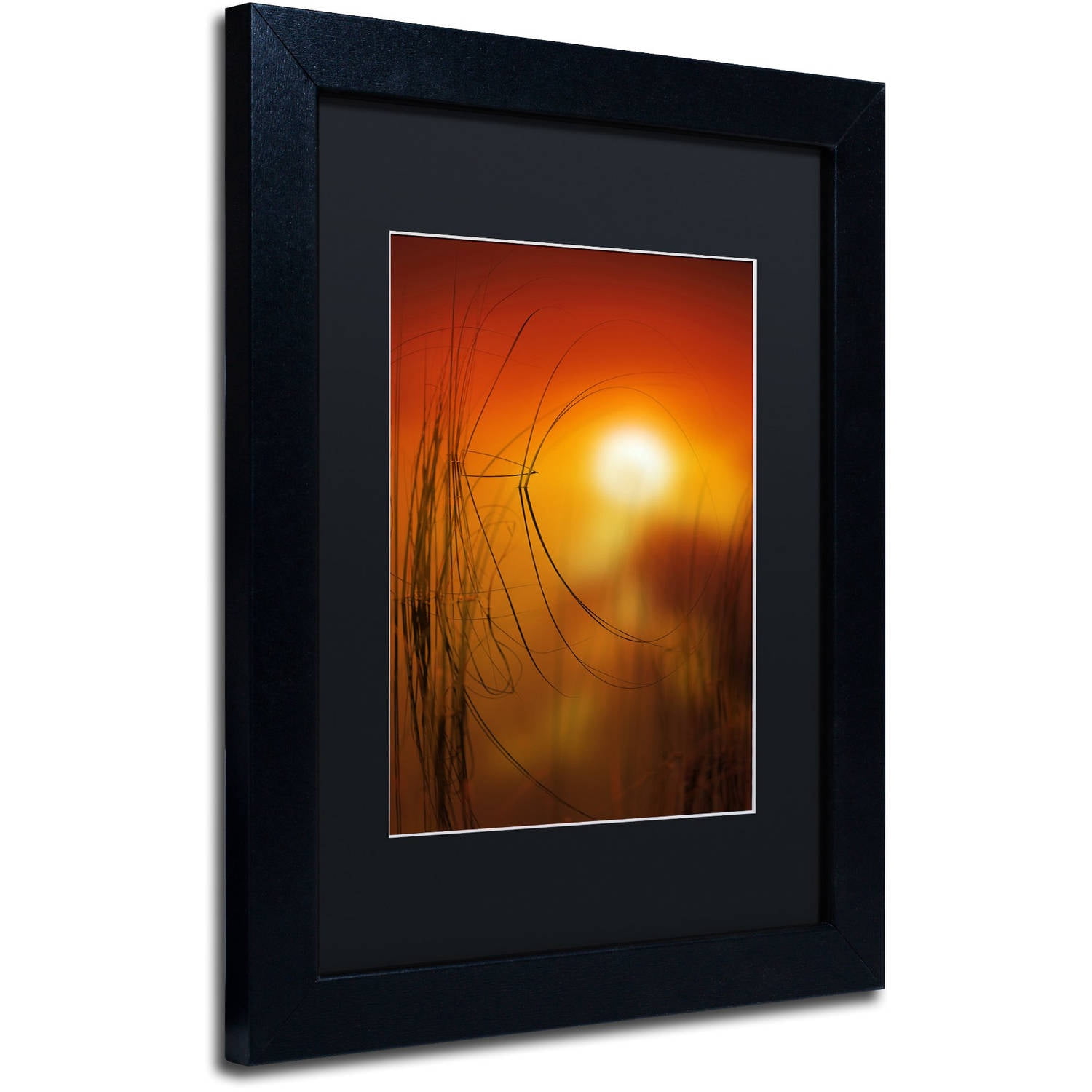 Trademark Fine Art "Nature Time Machine" Canvas Art by Philippe Sainte-Laudy Black Matte, Black Frame