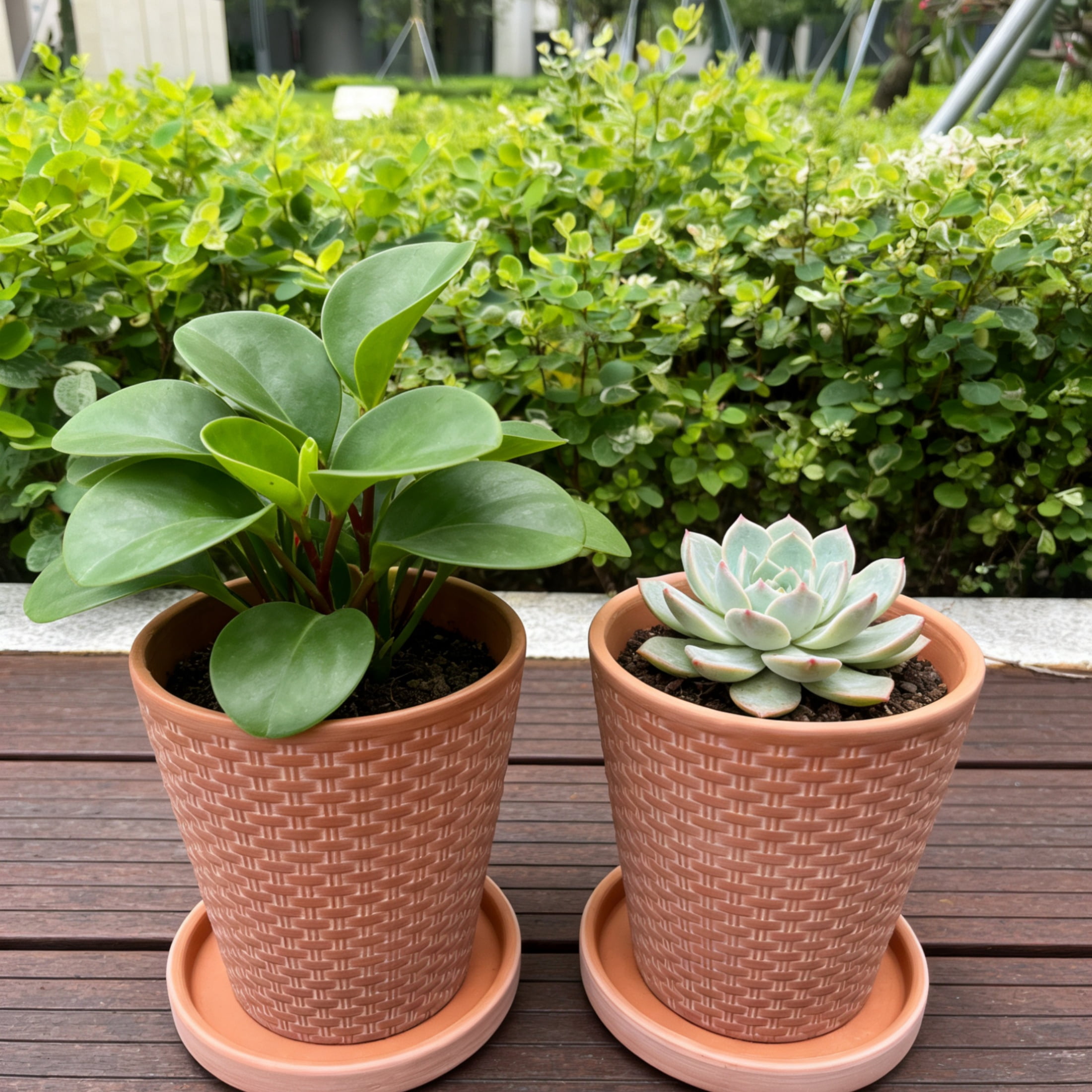 Clay flower pot, surface relief technology, 1 set of 2 flower pots and 2 trays, suitable for all kinds of flower planting, flower pot with drainage holes, suitable for interior decoration an