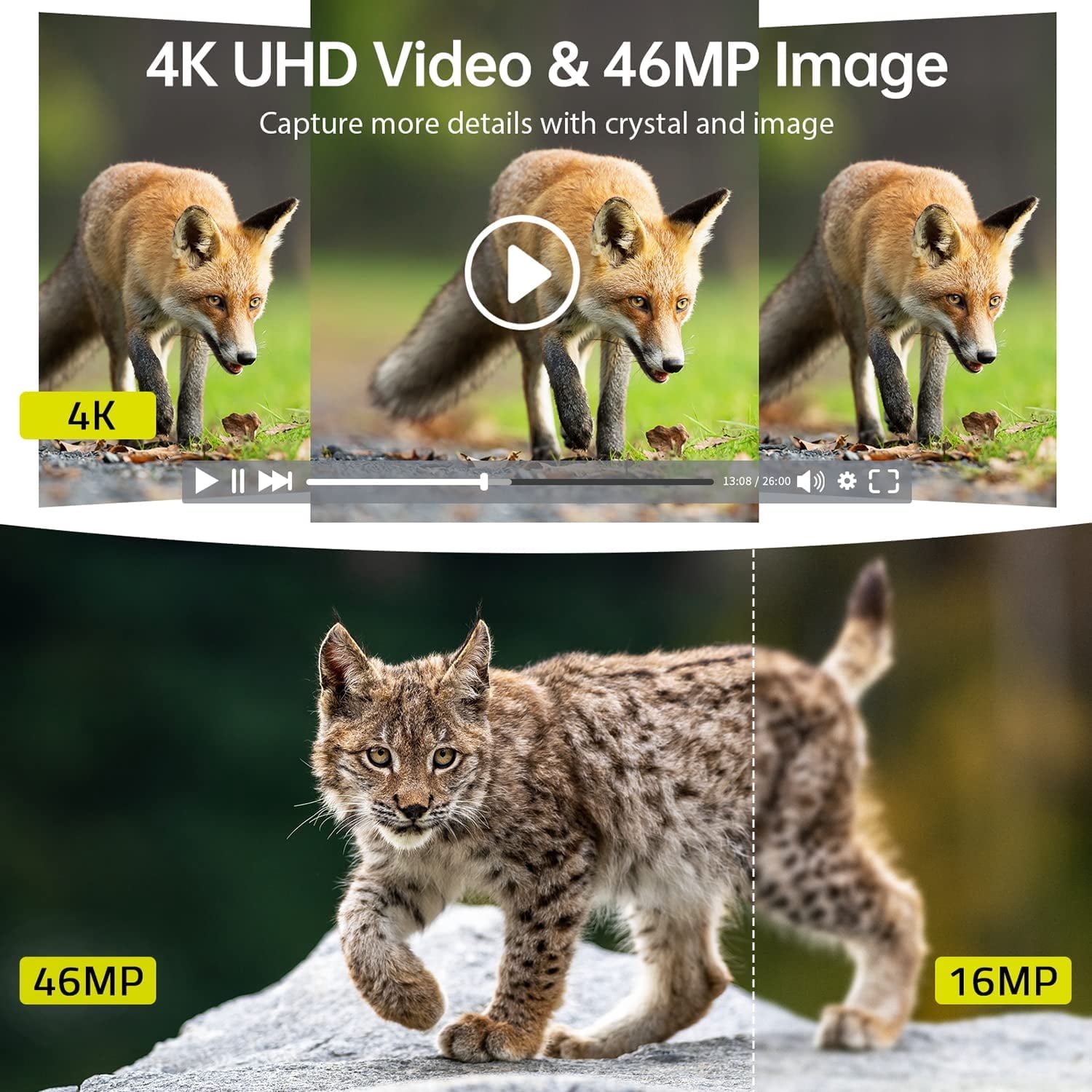 CAMPARK Solar Trail Camera 4K 46MP WiFi Bluetooth Game Hunting Cameras with 850nm Low-glow Night Vision Motion Activated IP66 Waterproof Wildlife Cam for Wildlife Monitoring