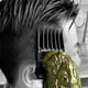 thumbnail image 5 of Juego de 10 cortapelos negros comunes, peine de límite, cortapelos eléctrico, pinza para el cabello, peine de posicionamiento, peine para cortapelos, 5 of 5