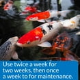 thumbnail image 2 of PondCare Microbial Algae Clean Freshwater Fish Organic Sludge, 64 oz, 2 of 5