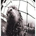 thumbnail image 3 of Pearl Jam - Ten - Music & Performance - CD, 3 of 3