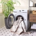 thumbnail image 3 of Safavieh Daytona Westley Geometric Polyester Machine Washable Area Rug, Ivory/Gray, 5'1" x 7'6", 3 of 9