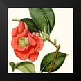 thumbnail image 2 of Vision Studio 12x12 Black Modern Framed Museum Art Print Titled - Cropped Antique Botanical III, 2 of 5