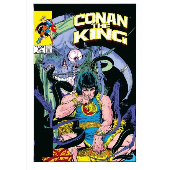 Pre-Owned Conan the Barbarian Omnibus King Conan: The Original Comics Omnibus Vol. 2, (Hardcover)