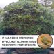 thumbnail image 1 of Red Antipájaros Anti Bird Catcher Net Traps Garden Plant Netting Protect Fruit Tree Control de plagas, 1 of 4