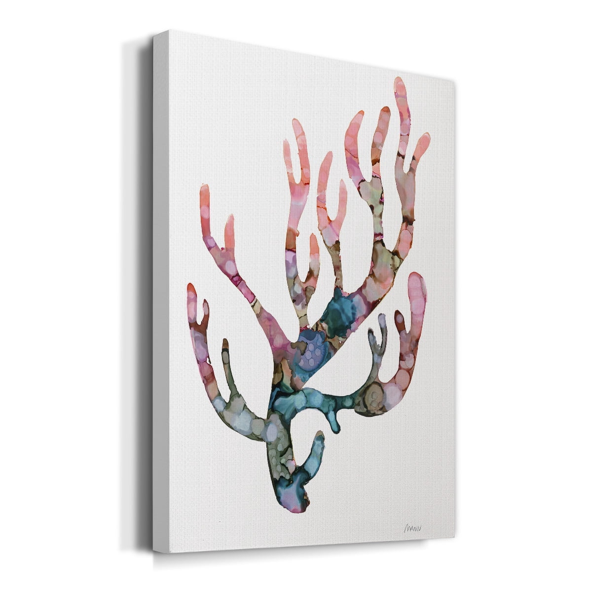 Sea Coral II Premium Gallery Wrapped Canvas - Ready to Hang