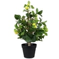 thumbnail image 3 of Northlight 1.9' Unlit Artificial Potted Bonsai-Style Green Apple Tree, 3 of 9