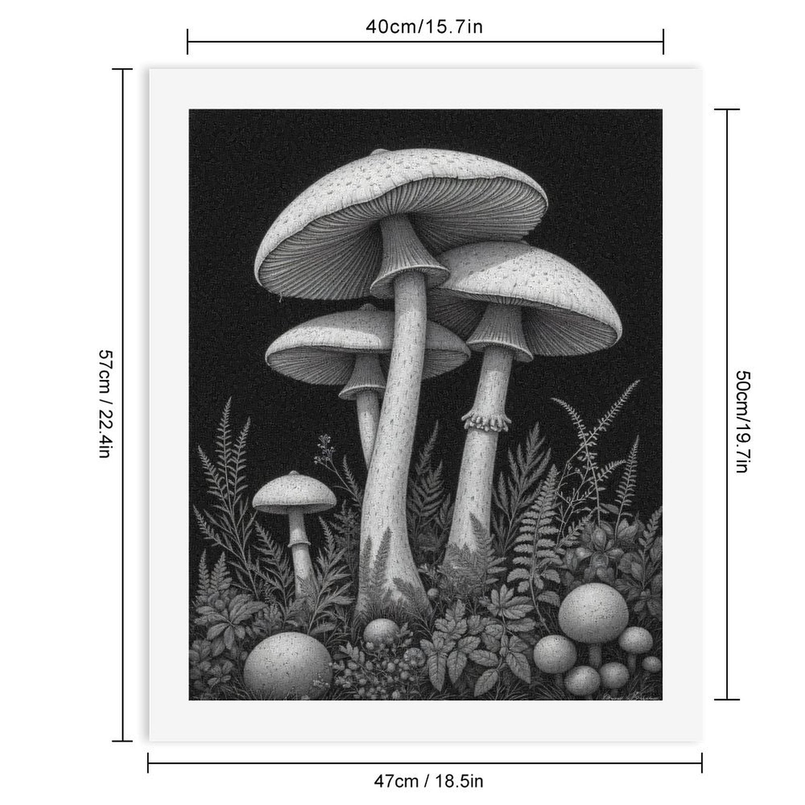 Paint by Numbers Kit for Adults, Mushroom Forest Art Black White Paint by Numbers, Easy Paint by Numbers Kit for Adults Beginner, DIY Adult Paint by Number Kits on Canvas, Home Decor