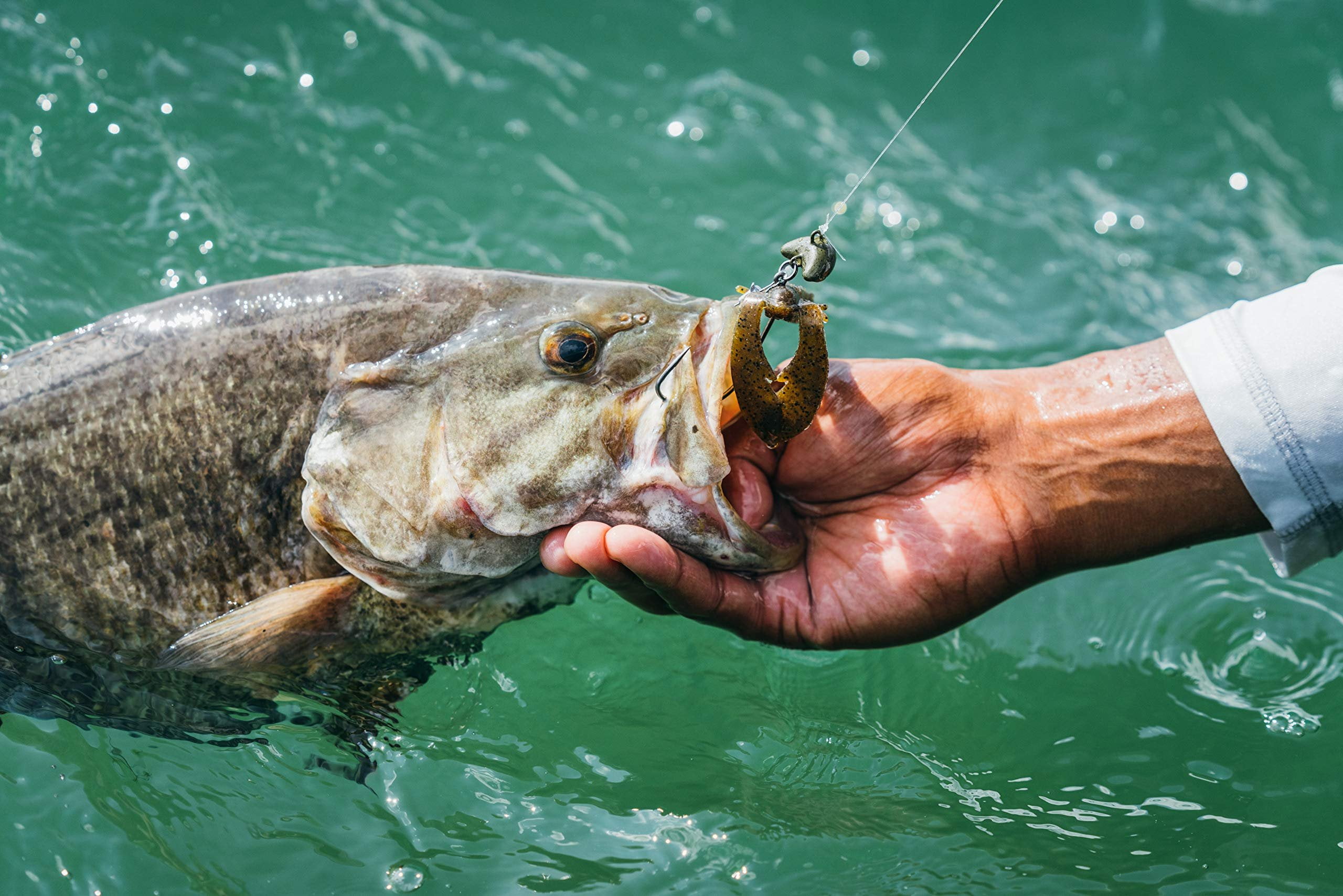 Berkley  Lures PB Chigger Craw 4'' Watermelon - Fishing Lure
