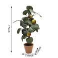thumbnail image 3 of Nature's Mark 17’’H Artificial Apple Tree Plant in Ceramic Pot, 3 of 5