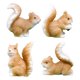 thumbnail image 1 of 4 adornos artesanales de resina de ardilla, miniaturas de ardilla pequeña para decoración de jardín, simulación creativa de ardillas para bonsái, 1 of 7