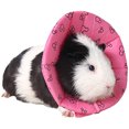 thumbnail image 2 of Ruff Neck Collar Protective Collar Wound Healing Dog Collar Cone Protection Smart Collar Safety for Small Animals Squirrel Guinea Pig Rat, L, 2 of 5