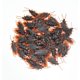 thumbnail image 3 of 50 piezas de cucarachas falsas de broma, juguetes de broma de plástico de apariencia real, insectos aterradores, bichos realistas, regalos de broma, cucaracha novedosa para fiesta de Halloween, 3 of 5