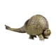 thumbnail image 4 of Simulación Animal prehistórico Modelo Kids Playset Colección Juguetes para Cake Toppers Decoración Hogar Decoración de escritorio Favores de fiesta Re , Verde CUTICAT Figuras de animales, 4 of 8