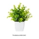 thumbnail image 4 of Kearding Naturaleza en el interior con plantas artificiales para el hogar y la oficina Limpie el polvo Decoración Eucalipto, 4 of 6