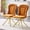 Orange, variant on Alvantor Dining Chairs Set of 2, Modern Velvet Bubble Chairs with Metal Legs, Upholstered Accent Chairs for Dining Room & Kitchen Beige