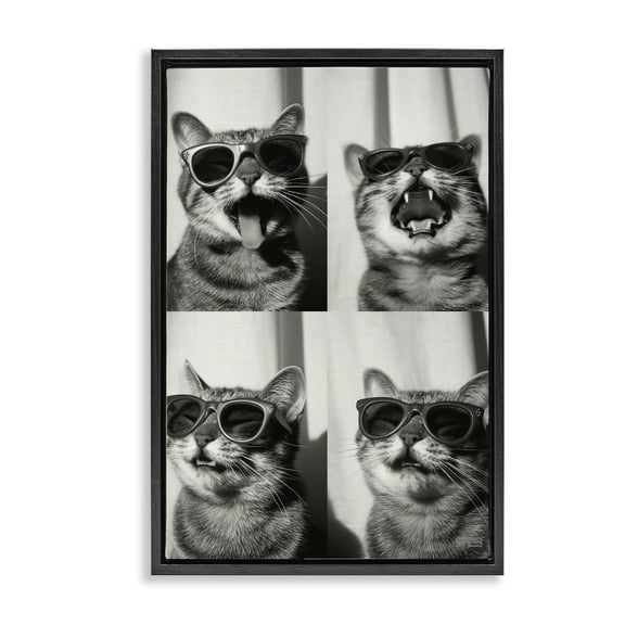 Stupell Industries Photobooth Style Cat Novelty Painting Black Floater Framed Art Print Wall Art, 17 x 25