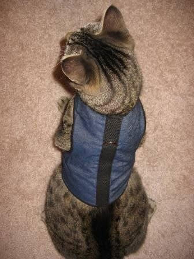 Kitty Holster Cat Harness (Made in USA) Color: Denim Blue, Size: XL