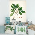 thumbnail image 2 of Designart ' Ancient Botanicals II ' Farmhouse Canvas Wall Art Print, 2 of 4
