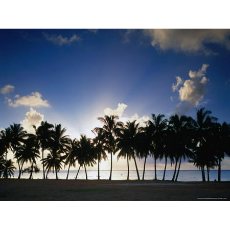 Sun Setting Behind Palm Tree Lined Shore of West Coast, Cook Islands Print Wall Art By Manfred