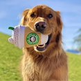 thumbnail image 3 of Adorable Latte Design Plush Squeaky Dog Toy - Durable Chew & Interactive Play Toy for Small Breeds, Soft Texture with Star Pups Coffee Cup Detail, Dog Plush Toy, 3 of 5