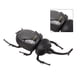 thumbnail image 3 of Juguete de insecto con energía solar modelo de estiércol falso realista ahorro de energía portátil simulado para fiesta para adultos, 3 of 8