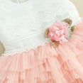 thumbnail image 6 of Bagilaanoe Newborn Baby Girl Party Dress Short Sleeve A-line Princess Dresses 6M 12M 18M 24M Infant Patchwork Tulle Skirt, 6 of 8