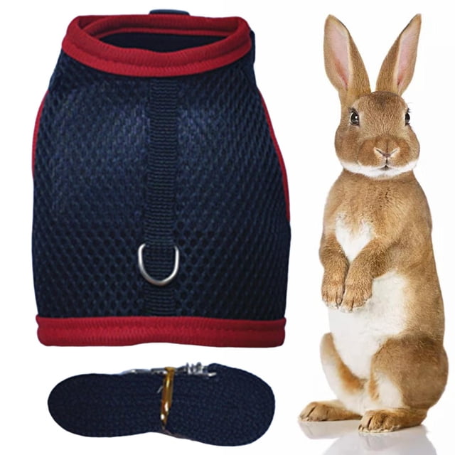 Harnais pour Lapin et Gilet en Maille Réglable pour Cochon d'Inde Petits Animaux Lapin S