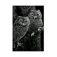 thumbnail image 2 of Melissa & Doug Scratch Art Scratchboard - 12-Pack, Black on White Background, 2 of 2
