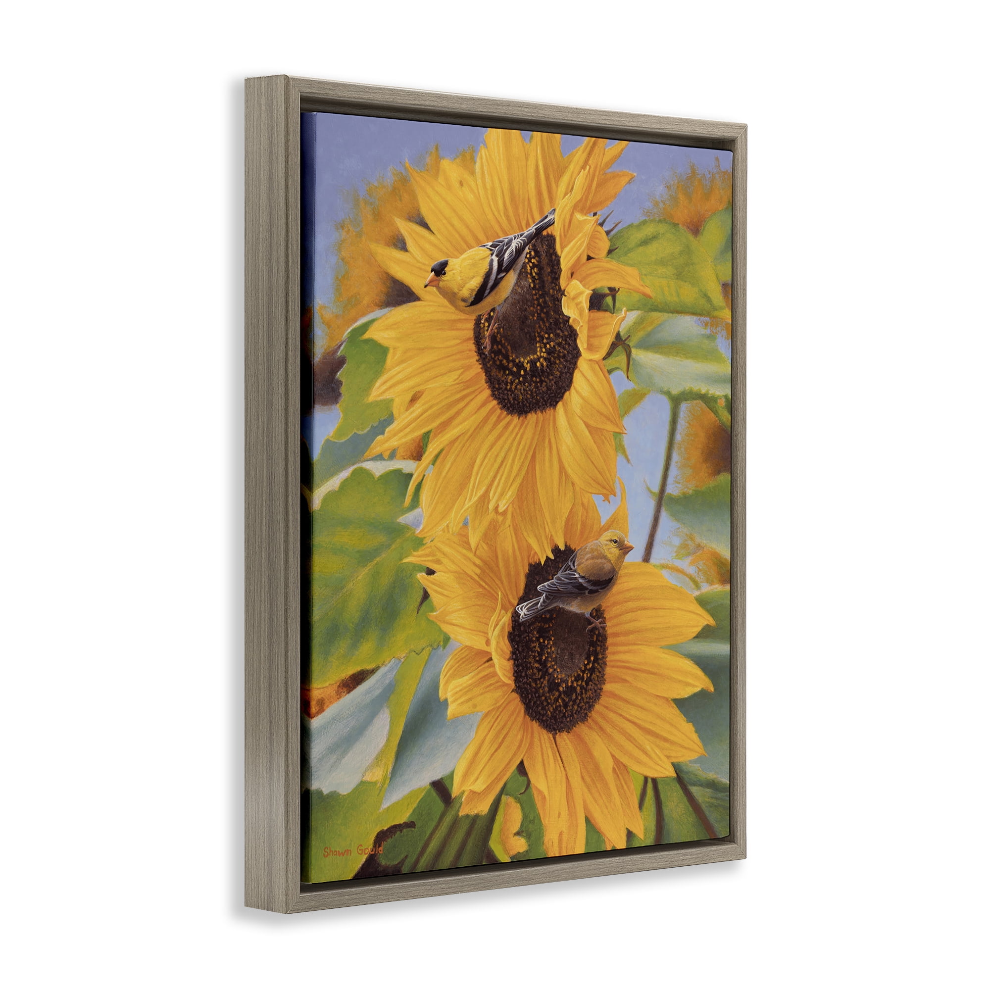 Stupell Industries Yellow Bird & Sunflowers Plants & Flowers Photography Brown Floater Framed Canvas Art Print Wall Art, 17 x 21