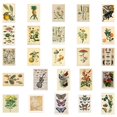 thumbnail image 3 of Póster Vintage de plantas, flores, mariposas, pegatinas para coche, portátil, teléfono, decoración de papelería, calcomanías de vinilo, pegatina impermeable, juguetes para niños, 3 of 3