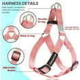thumbnail image 5 of DMISOCHR Dog Harness and Leash Set with Collar - Step in No Pull Dog Harness, 5 of 5