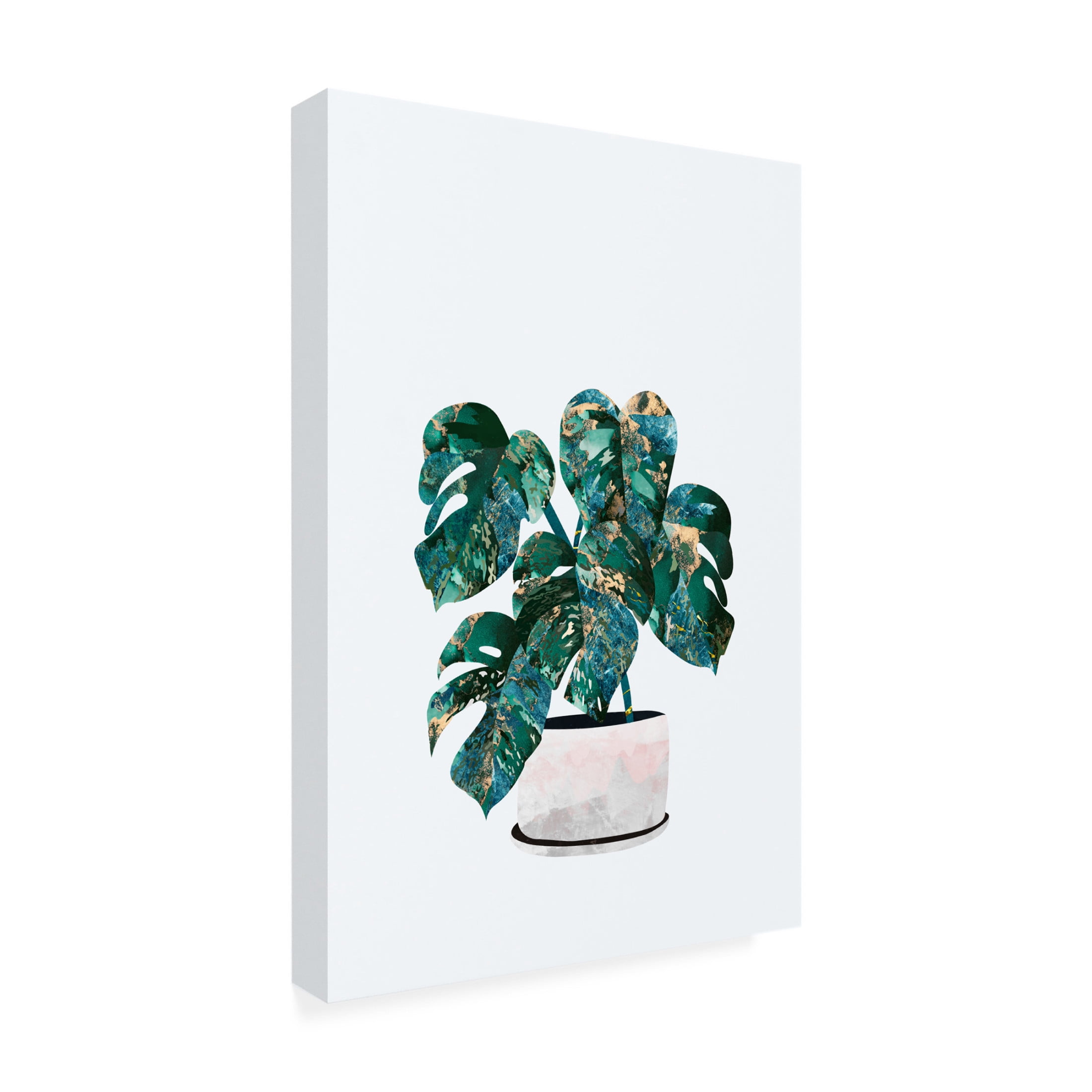 Trademark Fine Art Sarah Manovski Monstera house plant Canvas Wall Art