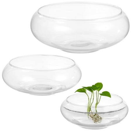 3 PCS Glass Bowl Vases, Wide Mouth Round Glass Terrarium, Glass Hydroponic Planter, Clear Floral Container, Fish Tank Aquarium, Glass Planter Pot Home Decor
