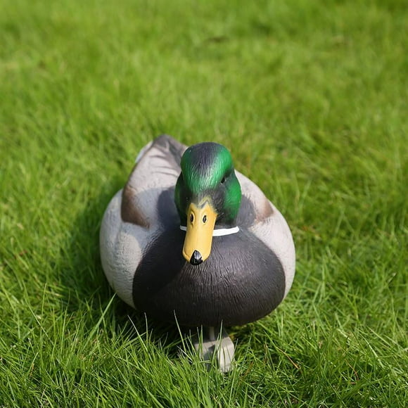 jinwen Plastic Mallard Duck Decoy Texas Decoy Drake for ing Shooting ing