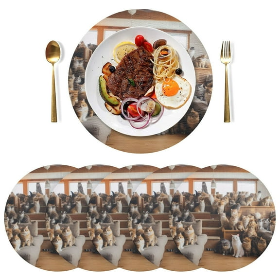 Cats Sofa Floor Window Black Round Placemats Plate Mats 15 Inch Non-Slip Heat Resistant Washable PVC Set Indoor for Kitchen Dining Table 1PC