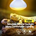 thumbnail image 6 of ECOSUB 150W Reptile Terrarium Heat Lamp, UVA Daylight Lamp, 2 Counts, 6 of 8