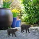 thumbnail image 4 of Figuras de animales en miniatura perfke accesorios para historias Colección 3 a 8 años, 4 of 9