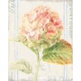 thumbnail image 2 of Gango Home Decor Cottage Floursack Florals VI & Floursack Florals VII by Danhui Nai (Ready to Hang); Two 16x20in Hand-Stretched Canvases, 2 of 5