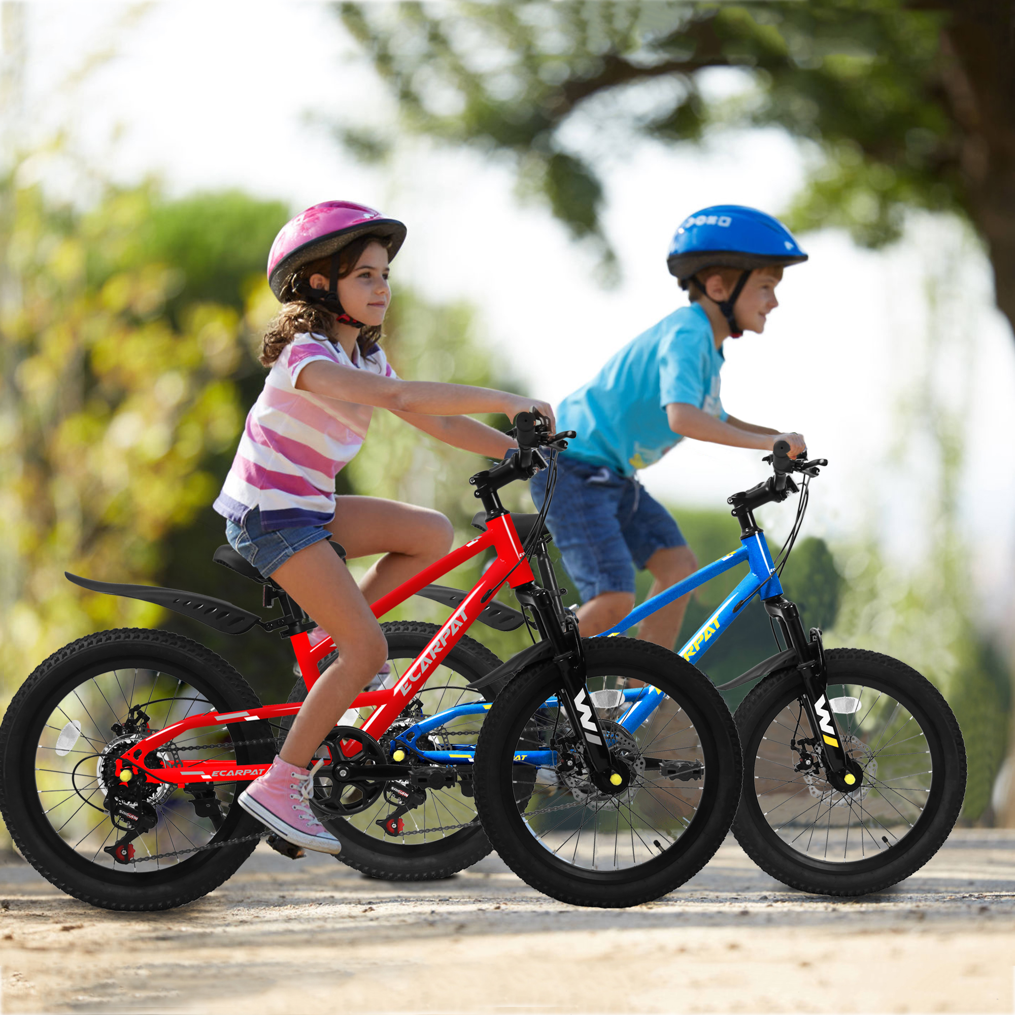 TheEshow 20 Inch Mountain Bike