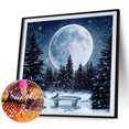 thumbnail image 1 of Cuadros Decorativos Luna nieve paisaje 5d Diy diamante pintura Kits pared arte completo cuadrado taladro regalo Ehuebsd embutido en tela, 1 of 1